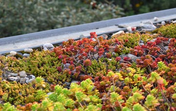 the cost of Somerset green roof installation