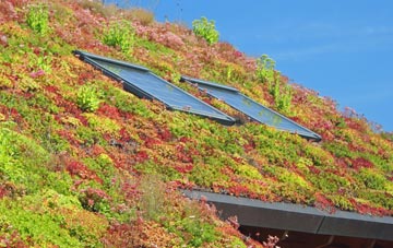 Somerset living roof systems